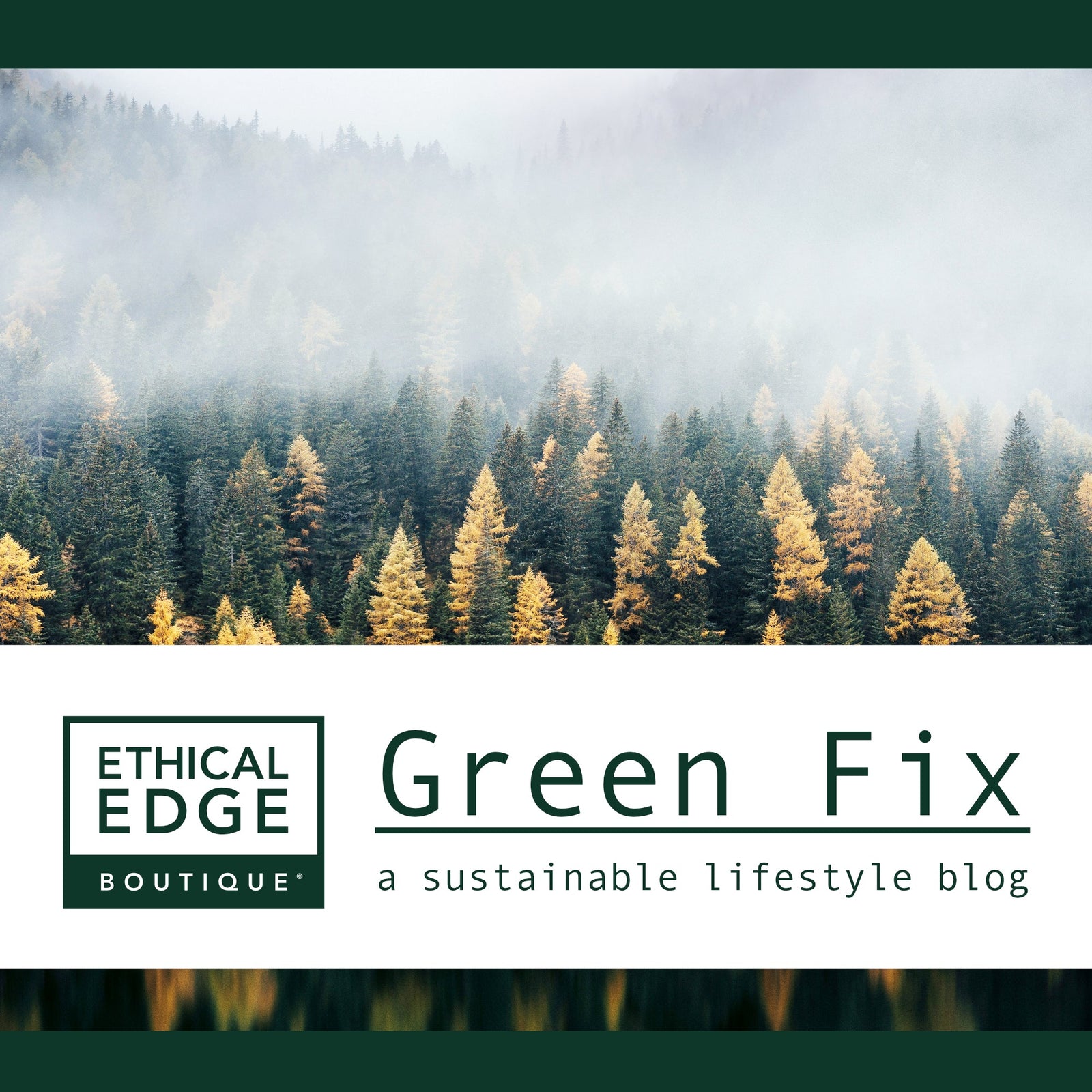 Introducing Green Fix: A Sustainable Lifestyle Blog